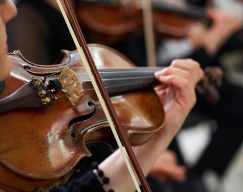 Kammerorchester der Neuen Philharmonie Hamburg, Fotocredit Adobe Stock