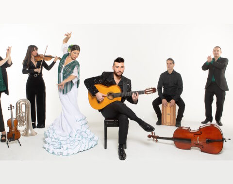 Daniel Martinez Flamenco Company