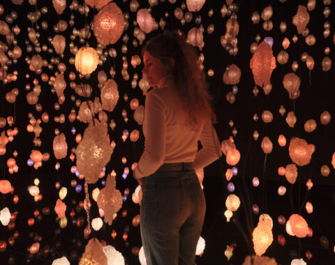 Pipilotti Rist, Pixelwald Wisera, 2025, Kunsthalle Bremen© Courtesy the artist, Hauser & Wirth and Luhring Augustine VG Bild-Kunst, Bonn 2025, Foto Tobias Hübel.jpg